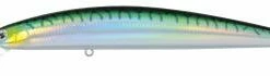 Daiwa Salt Pro Minnow 6 3/4" Floating