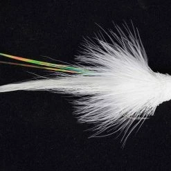 LI Flies Snake Fly Flatwing