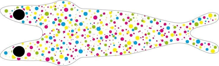 Pro Sportfisher Pro 3D Shrimp Shells 9 Pro Sportfisher Pro 3D Shrimp Shells