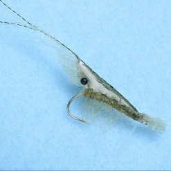 Enrico Puglisi Flies EP Grass Shrimp Fly