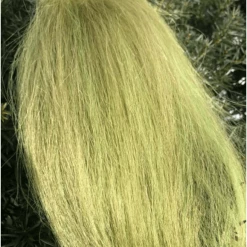 Squimpish Flies Fly Tying Squimpish Hair