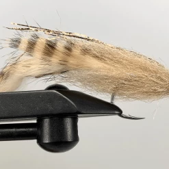 Catching Shadows Flies Strolis Silly Rabbit Fly