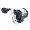 Shimano Fishing Shimano Torium Star Drag Conventional Reels 2 Shimano Fishing Shimano Torium Star Drag Conventional Reels