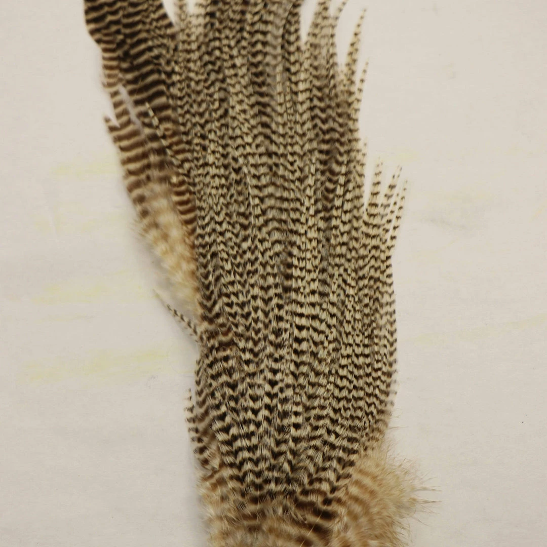 Wapsi Ewing Grizzly Half Saddles Fly Tying 4 Wapsi Ewing Grizzly Half Saddles Fly Tying