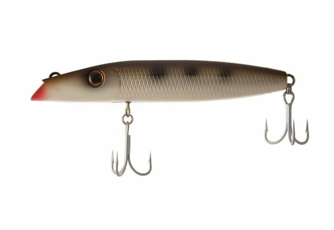 Plastic Lures NorthBar Tackle Montauk Darters 6 Plastic Lures NorthBar Tackle Montauk Darters
