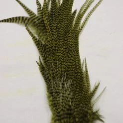 Wapsi Ewing Grizzly Half Saddles Fly Tying 9 Wapsi Ewing Grizzly Half Saddles Fly Tying