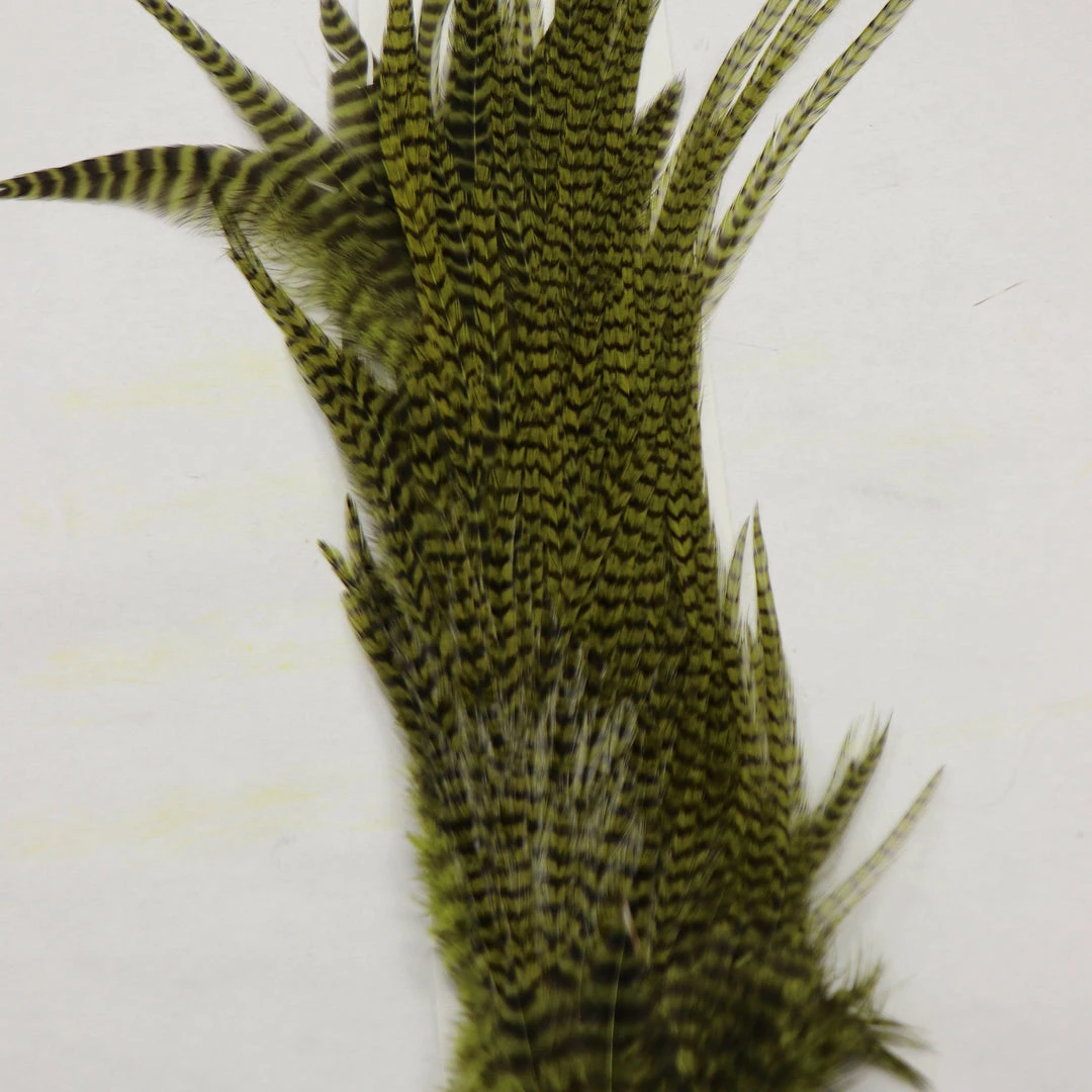 Wapsi Ewing Grizzly Half Saddles Fly Tying 6 Wapsi Ewing Grizzly Half Saddles Fly Tying