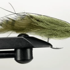 Catching Shadows Flies Strolis Silly Rabbit Fly