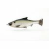 SALE Savage Gear Pulse Tail LT Shiner Swimbaits 1 SALE Savage Gear Pulse Tail LT Shiner Swimbaits