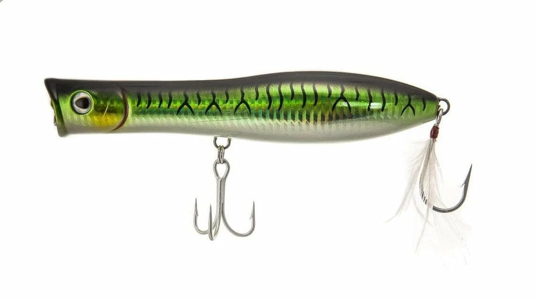Tsunami Fishing Tsunami XD Talkin' Popper Plastic Lures 8 Tsunami Fishing Tsunami XD Talkin' Popper Plastic Lures